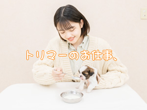 高校２年生対象のトライアルセミナーに参加をしませんか？